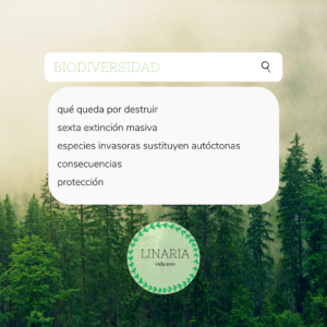 Los problemas de la biodiversidad