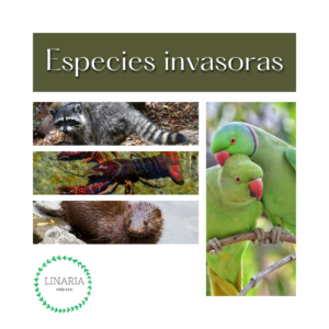 Las especies invasoras